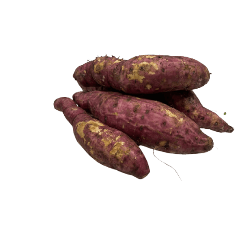 Sweet Potato