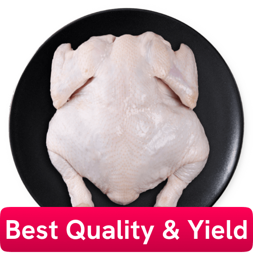 Fresh Chilled Chicken Skin