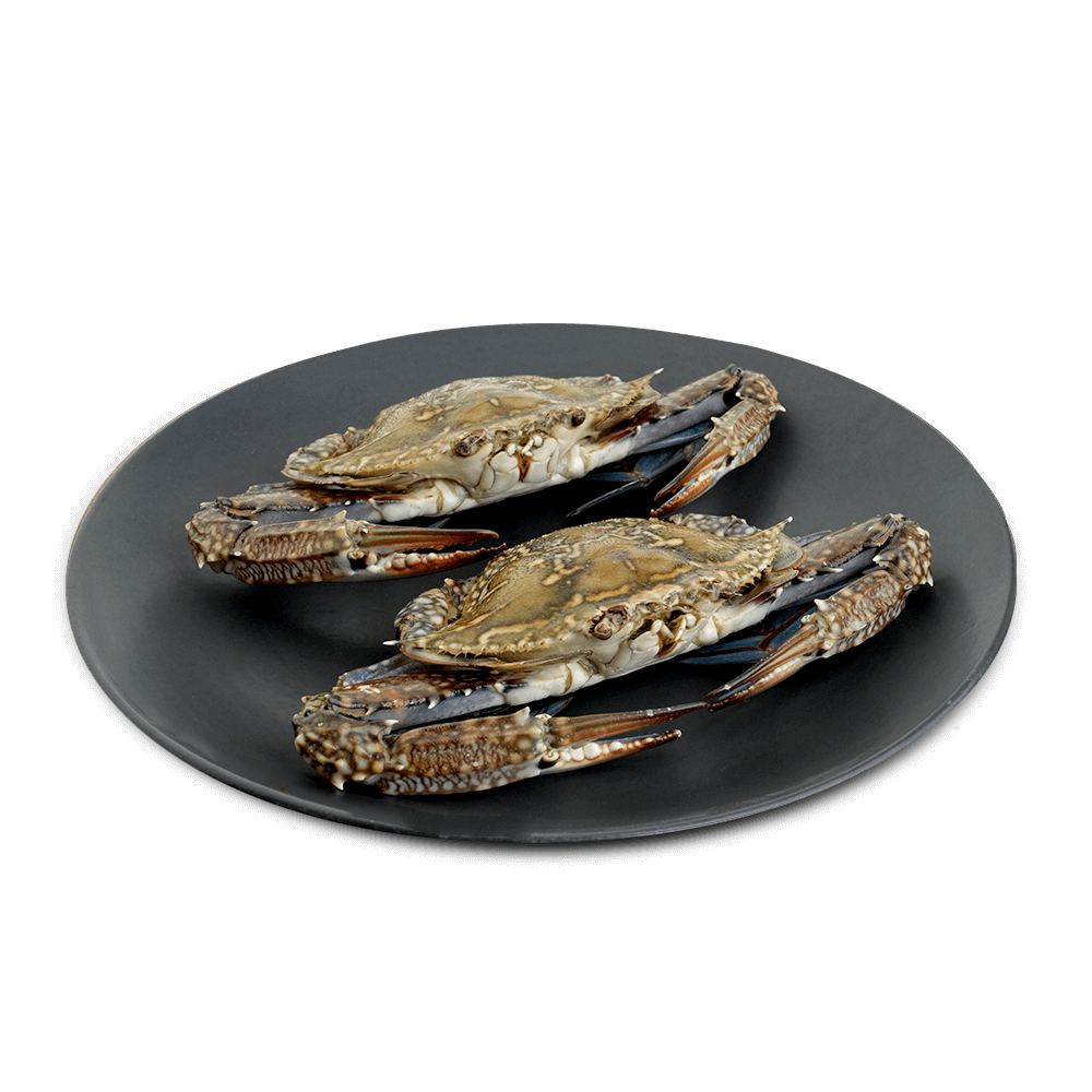 Sea Crab Fresh Cleaned