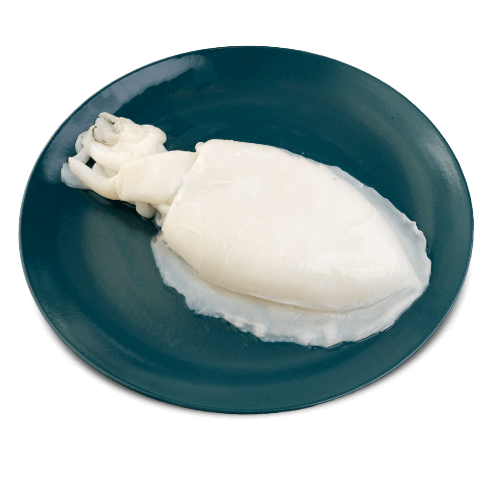 Pabda Fish
