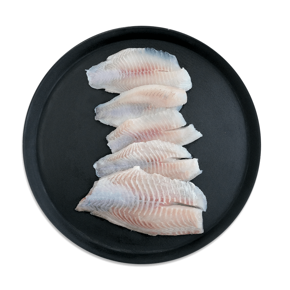 Tilapia Fillet Medium