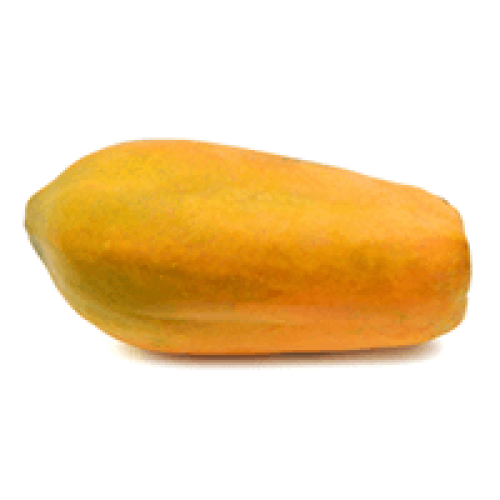 Papaya